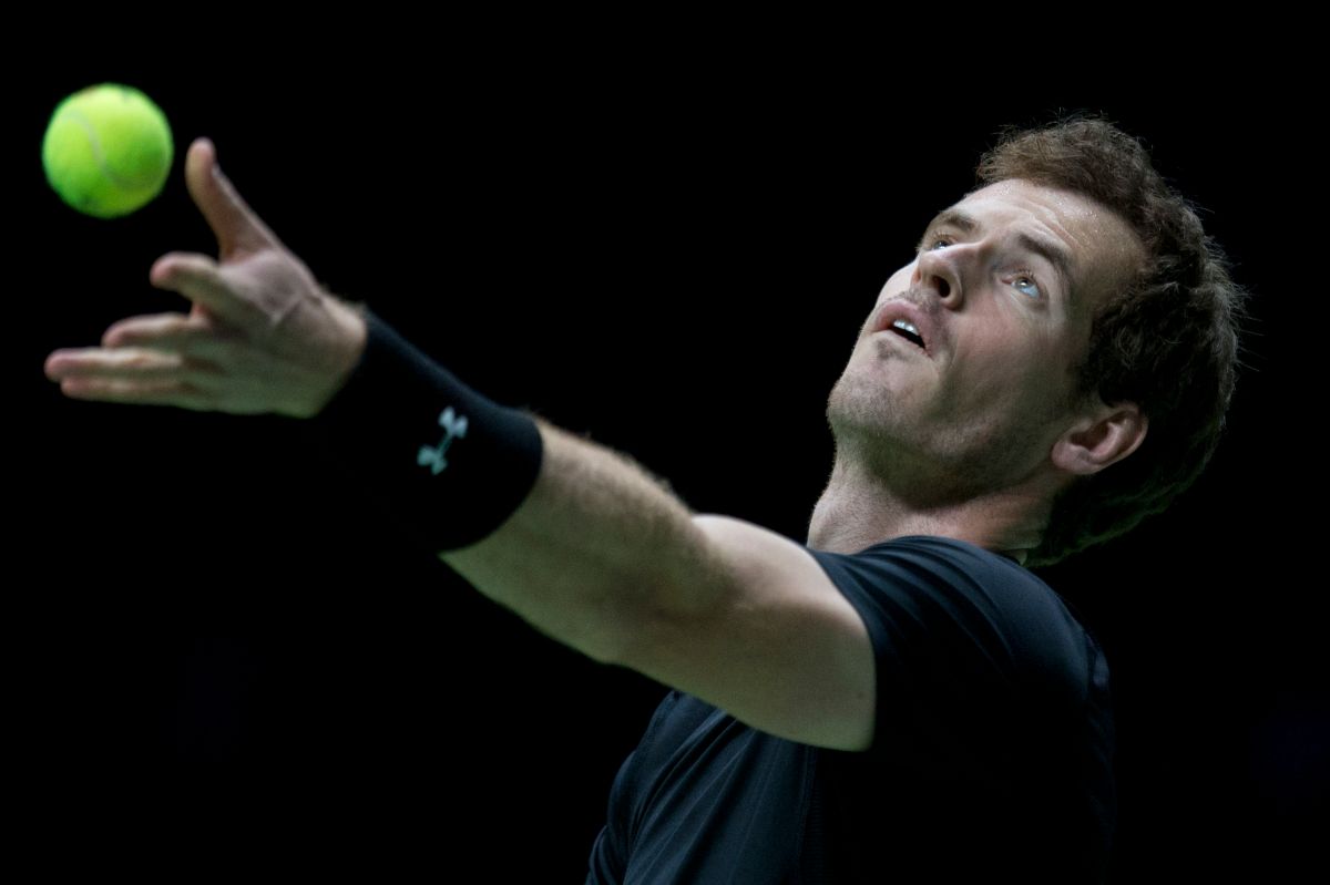 High Quality Image of Andy Murray in action at Rotterdam (Credit: heraldscotland.com)